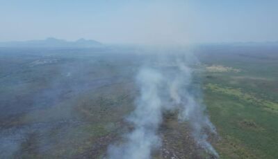 Apoiado pelo Fundect, projeto em MS busca alternativa para evitar incêndios no Pantanal