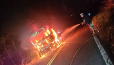 Cabine de carreta pega fogo, mas motorista escapa ileso na BR-060