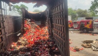 Incêndio atinge caminhão e destrói alimentos em empresa de MS