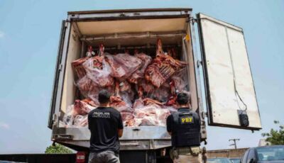 Dono de transportadora e mais 5 são presos com maconha escondida em carga de carne em ms