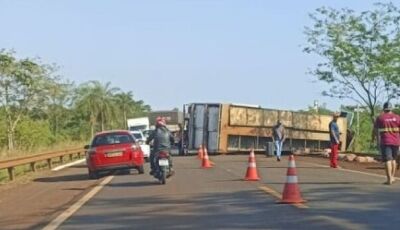 Caminhão carregado com porcos tomba próximo a Fátima do Sul