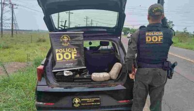 Polícia apreende R$ 271 mil em maconha, skunk e haxixe marroquino em rodovia de MS