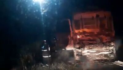 Caminhão de grãos fica destruído após pegar fogo na MS-276 e chamas se alastram para a vegetação
