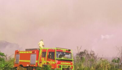 Com treinamento e tecnologia, atuação dos bombeiros é destaque no combate a incêndios florestais