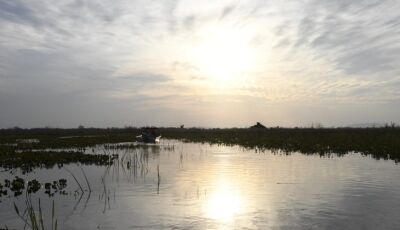 Instrumento para preservação e desenvolvimento, Lei do Pantanal tem reconhecimento de entidades 