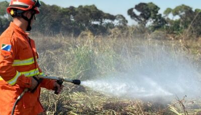 Governo do Estado mantém combate a incêndios no Pantanal com apoio de tecnologia e equipamentos