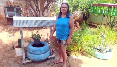 Dona de casa iniciou por brincadeira a profissão de Artesã e decorou sua residência em Fátima do Sul