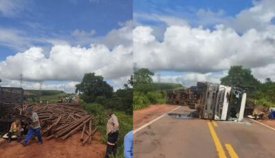 Carreta de eucalipto tomba na BR-262 e bloqueia rota em Mato Grosso do Sul