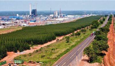 Com ambiente positivo de negócio, empreendedores investem no novo polo de celulose do Brasil