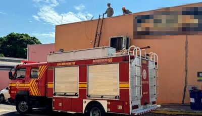 Cabo da Polícia Militar salva vida de jovem ao levar descarga elétrica em Vicentina