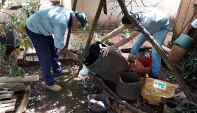 Contra a dengue no Carnaval, se ligue nas 'regras do rolê': limpe seu quintal e caia na folia