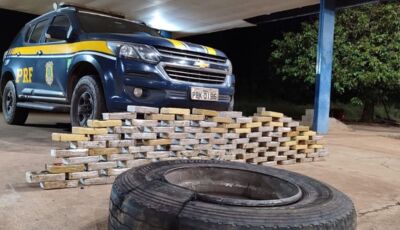 Caminhão carregado com 'eucalipto' e 107 kg de cocaína é apreendido em MS