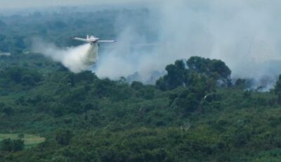 Com incêndio extinto no Pantanal de MS, bombeiros fazem monitoramento na Serra do Amolar
