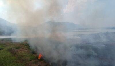 Governo de MS prepara atuação para temporada de incêndios florestais no Pantanal