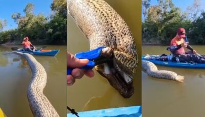 Pescador relembra o encontro com sucuri gigante morta boiando em rio de MS