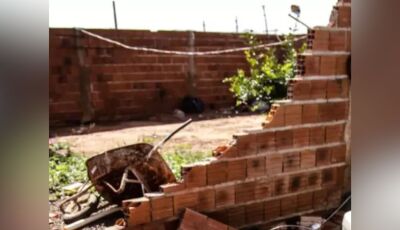 Vizinho chacoalha e derruba muro da vizinha em Mato Grosso do Sul