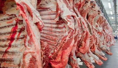 China vai comprar carne de mais 05 frigoríficos de MS e medida permite melhoria de preço interno