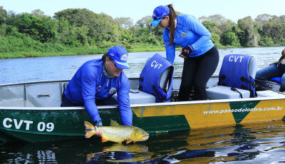 Pesca do dourado continua proibida nos rios de Mato Grosso do Sul até março de 2025