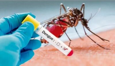 ALERTA: Boletim chega com 14 óbitos e 5.754 casos confirmados de dengue