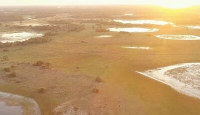 Imasul convoca proprietários de imóveis no Pantanal com processos em andamento para adequação à nova
