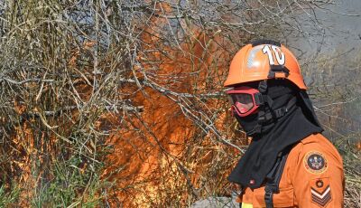 Prevenção aos incêndios florestais será discutida por autoridades nesta terça e quarta na Famasul