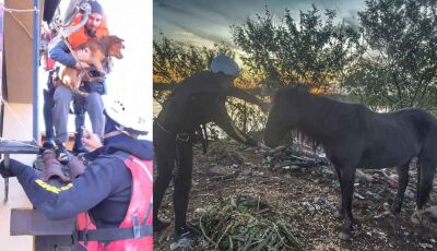 Bombeiros de MS enfrentam frio de 8°C nas enchentes e já resgataram 700 pessoas e animais no RS