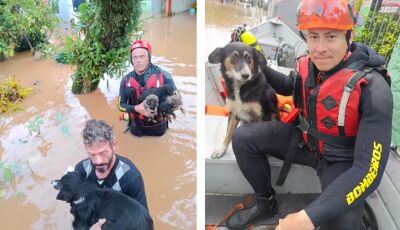 Bombeiros de MS resgataram mais de 900 pessoas e 200 animais no Rio Grande do Sul
