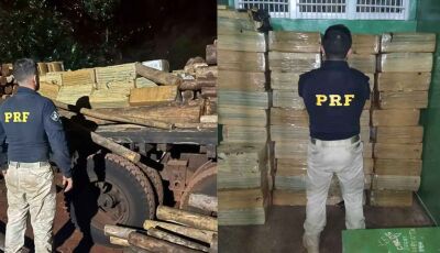 Polícia apreende 2 toneladas de maconha em meio a carga de eucalipto em MS