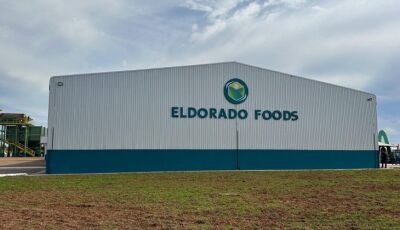 Fecularia Eldorado é inaugurada, vai gerar 330 empregos e consolidar industrialização da mandioca