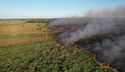 Bombeiros de MS atuam no combate a dois incêndios florestais, no Pantanal e em Naviraí