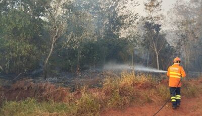 Com esforço concentrado, Corpo de Bombeiros combate incêndio florestal na região de Itaquiraí