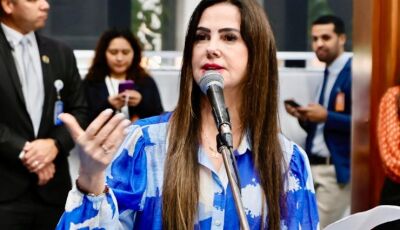 Iguatemi: Mara Caseiro solicita equipamento para atender associação de apicultores