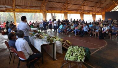 Programa que fomenta produção e assistência aos indígenas em MS é o maior do Brasil