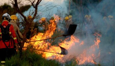 Treinamento de combate ao fogo qualifica novos soldados dos Bombeiros para atuar em incêndios flores