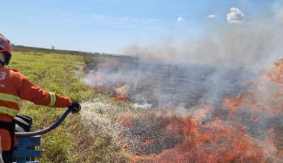 Com trabalho preventivo, bases avançadas no Pantanal atuam de forma eficaz e evitam foco de incêndio