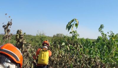 Bombeiros de MS atuam para controlar incêndio em Corumbá e desenvolvem ações em outras duas regiões