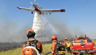 Governo de MS declara situação de emergência em cidades afetadas por incêndios florestais