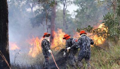 Sob coordenação dos bombeiros de MS, Força Nacional já atua no combate ao fogo no Pantanal