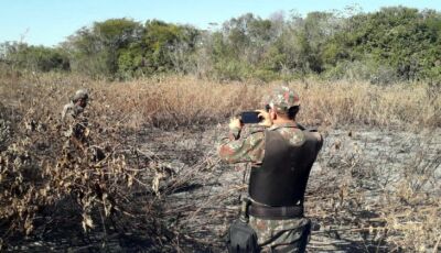 MS já aplicou R$ 54 milhões em multas por incêndios no Pantanal, e mutirão vai acelerar processos