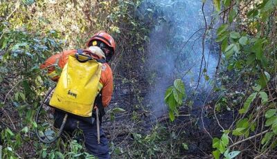 Com incêndios florestais ativos, bombeiros de MS atuam para controlar chamas em diferentes áreas