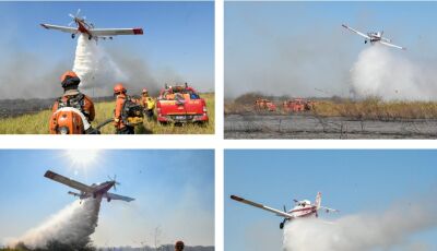 Pantaneiros elogiam ação coordenada contra o fogo e destacam bombeiros: 'sem eles, seria derrota na