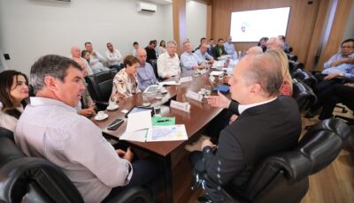 Nova ponte entre Mato Grosso do Sul e Paraná vai reduzir distância até o Porto de Paranaguá