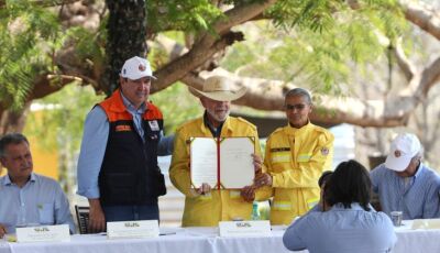 Ações antecipadas no Pantanal barram avanço do fogo e preservam grande parte do bioma em MS