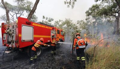 Combate aos incêndios florestais no Pantanal conta com reforço de garoa e queda na temperatura