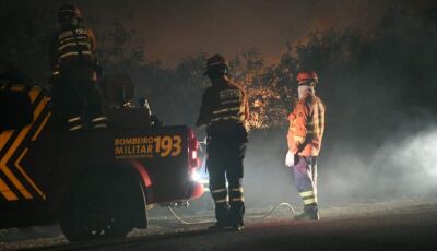 Bombeiros de MS continuam trabalho para conter incêndios em diferentes áreas do Pantanal