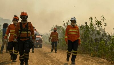 Pantanal: força-tarefa segue ativa para prevenir e combater incêndios em nova onda de calor e tempo