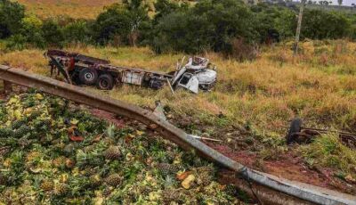 Caminhoneiro morre ao tentar desviar de vacas e carga de abacaxi é saqueada em MS