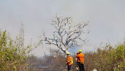 Focos ativos na região de Maracangalha, no Pantanal de MS, mobilizam bombeiros e brigadistas