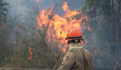 Operação Pantanal: bombeiros de MS lutam para conter grandes chamas na região do Nabileque; FOTOS