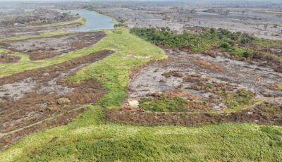 Proprietários rurais do Pantanal afetados pelos incêndios florestais devem ter condições especiais